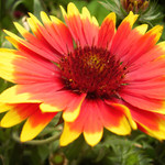 Vždy s otevřenou náručí