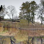 Procesy kvasné a hnilobné ...