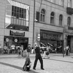 Podnikani mezi NewYorkem a Bankrotem...