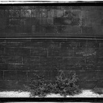 Kristyno, miluju Te!