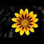 Konečně vyšlo sluníčko