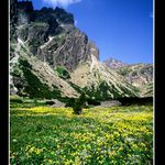 Malá studená dolina..