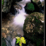 Jeden list Malej Fatry..