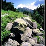 Cestou na Ďumbier..