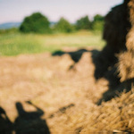 Pozdrav z Kostolišta