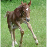 jsem rád na světě!