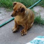 RELAX PO NEDEĽNOM OBEDE