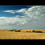 field