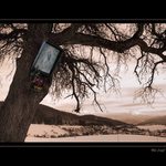 TEN , ktorý bdie nad nami