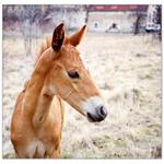 vypadám smutně, ale nejsem!