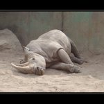 smutný pohled do davu