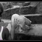 méďo tady jsem.....halooooo