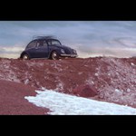 Chrobak v Skalistych Horach