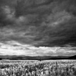 Back to the roots :: Návrat ke kořenům