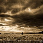 :: no man`s land ::