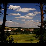 Přes stromy na Mýto