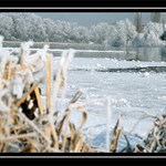 Nebylo už toho vedra dost?