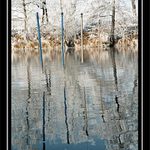 Nedám pokoj, dokud se neochladí!