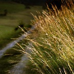 Do světla nebo do tmy?