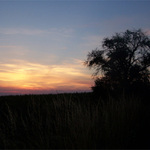 Silueta při západu