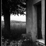 S názvem si hlavu nelámu...