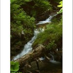 ***Bílá Opava I.***