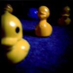 sbohem a diky za ryby