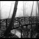 Návraty do veltruského parku XIX - artefakty 1