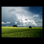 ***NEBESKÝ PŘÍLIV***