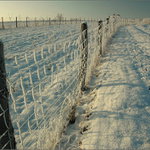 Zimní kůlování I.