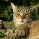 Už jednou jsem tě poslal někam, tak nevotravuj !!!