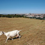 Meee ee e,  pryc odsud.