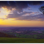 Chanctonbury Ring II
