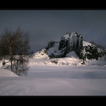 Sen o polárkovém dortu