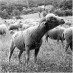 Řekni \"fromage\"   :)