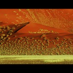 Červené more...  piesku