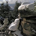 Druhá loňská - Žďárské vrchy