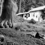 Home sweet home 2...