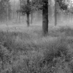 ..že prý alespoď někdy ráno poněkud chladněji...