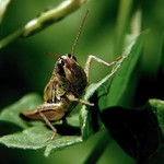 ...jenom juknu a mizím...