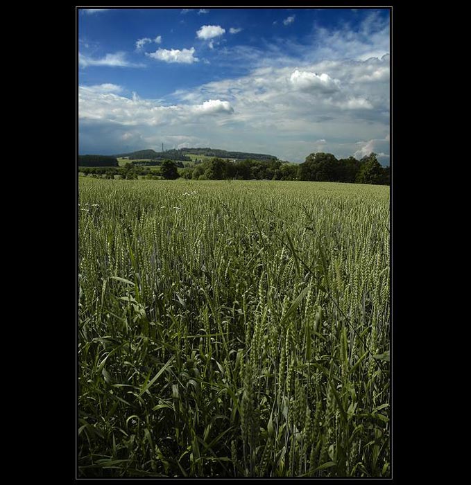 .: SKOČDOPOLE :.
