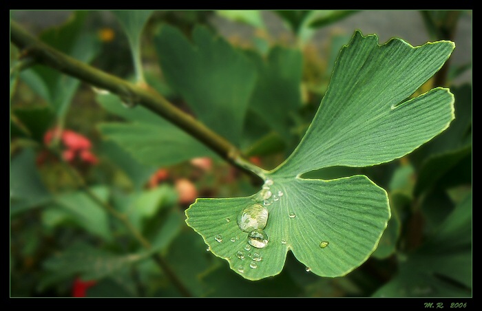 PO DEŠTI 2