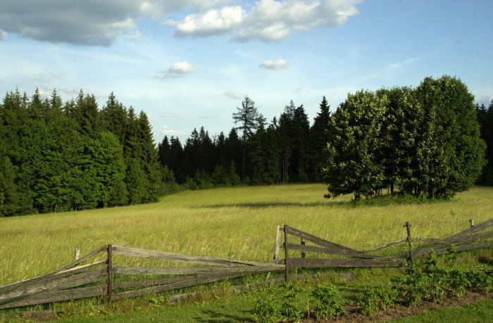 krajinka