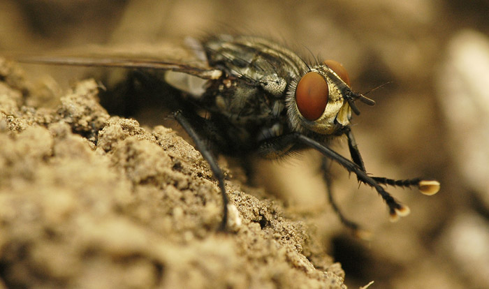 A teď všichni tleskejte se mnou!