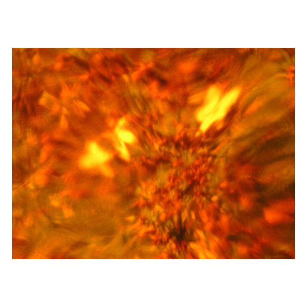 Divoženka se raduje a plaší při tom motýly