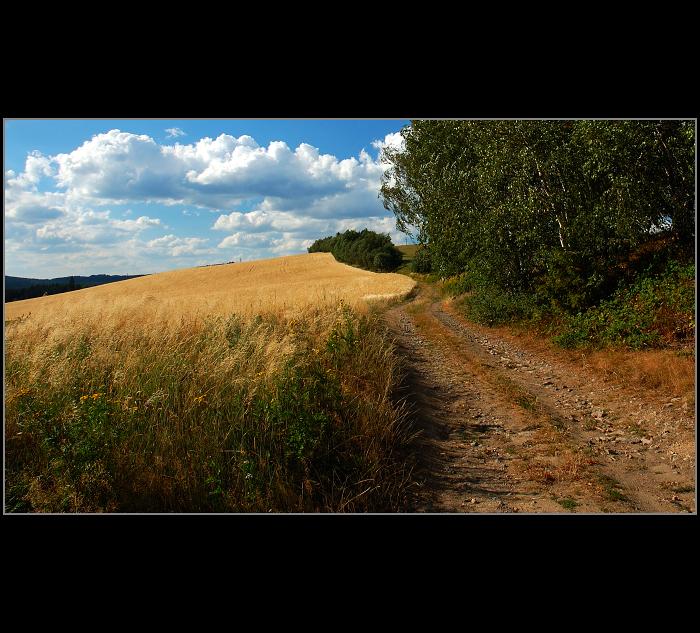 Vysočinou II