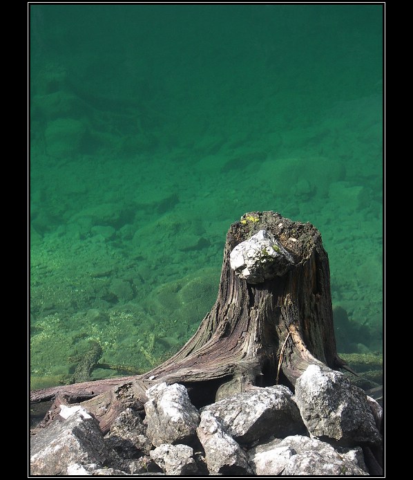 Samotář