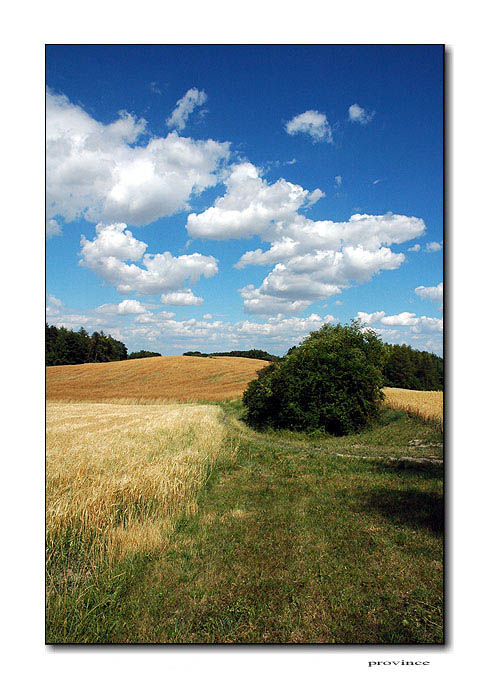 u nás na chalupě :)