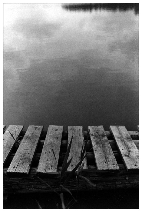 návrat do krajiny II