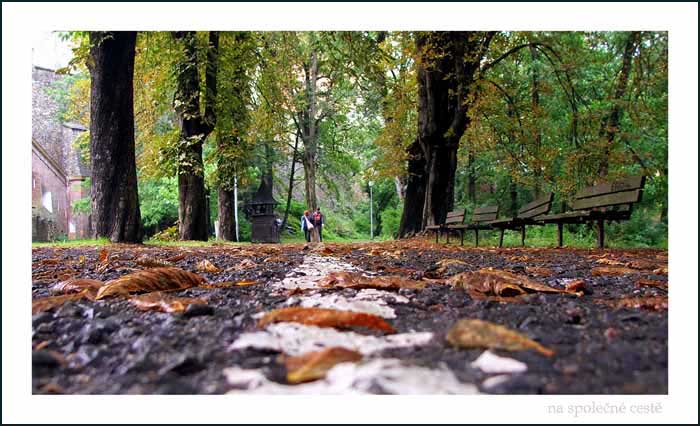... na společné cestě ...